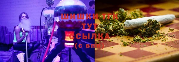 mdpv Каменка